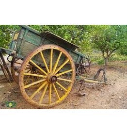 NVM 40.31.080 Portugese boerenkar