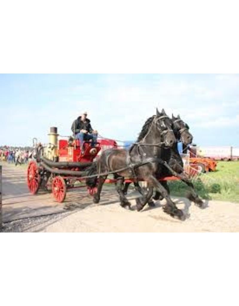 MBT Bikkers Dampffeuerspritze - Bauzeichnung Maßstab 1 : 8 (40.42.006)