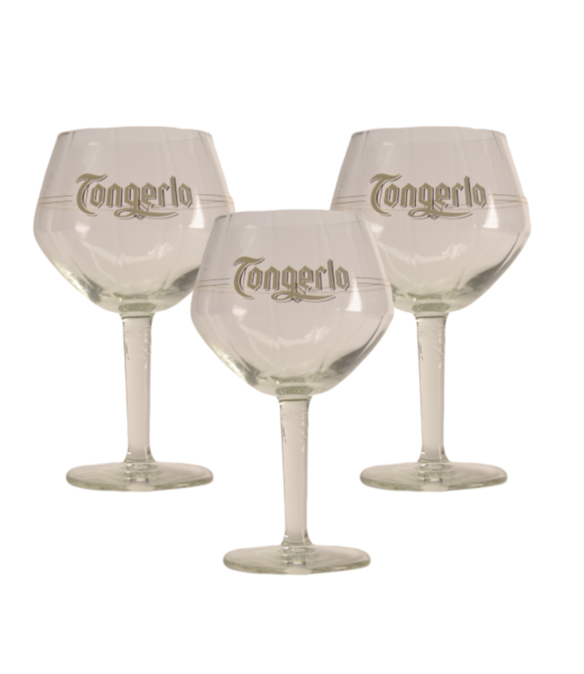 SET VAN 3   l-------l Tongerlo Bierglas - 33cl (3 Stück)