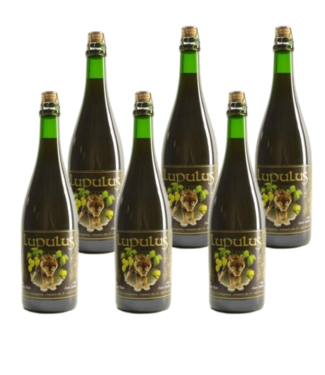 SET VAN 6    l-------l Lupulus Bruin - 75cl - 6 Stück