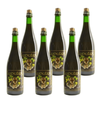 SET VAN 6    l-------l Lupulus Bruin - 75cl - Set of 6 bottles