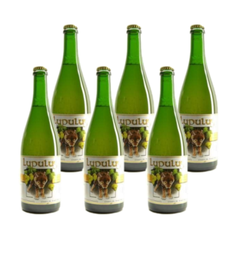 SET VAN 6    l-------l Lupulus Blond - 75cl - Set of 6 bottles