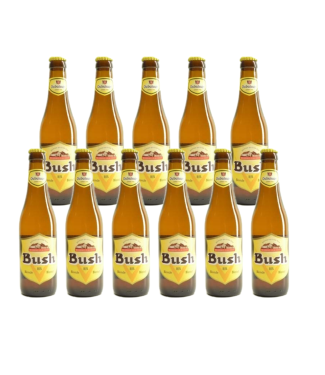 SET VAN 11   l-------l Bush Tripel Blond  - 33cl - 11 Stück