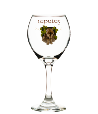 Lupulus Bierglas - 25cl