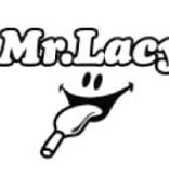 MR LACY Mr. Lacy Flatties White - metalen tips