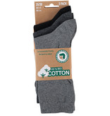 APOLLO Bio Cotton sokken - grijs