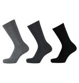 APOLLO Bio Cotton sokken - grijs