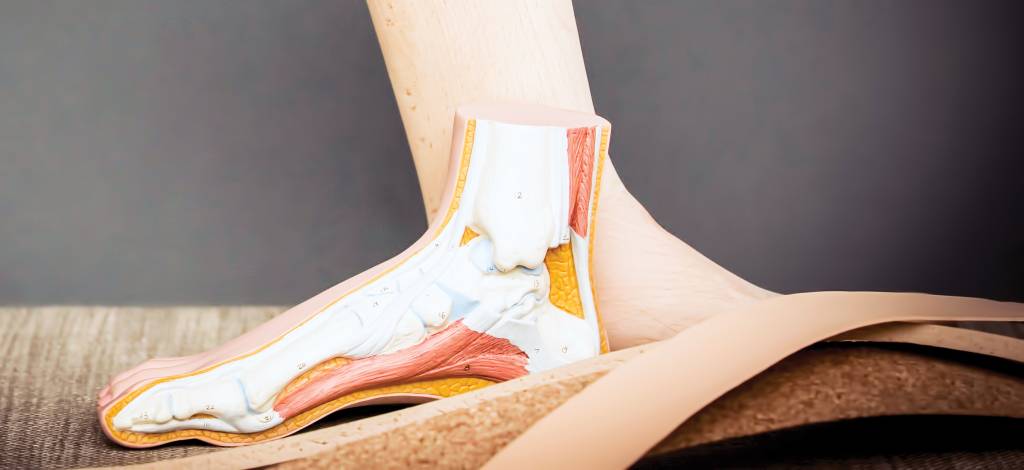 SL LINE SL kurk hielverhoger - 7mm hakverhoging