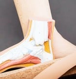 SL LINE SL kurk hielverhogers 10 mm | Comfortabele kurk talonettes