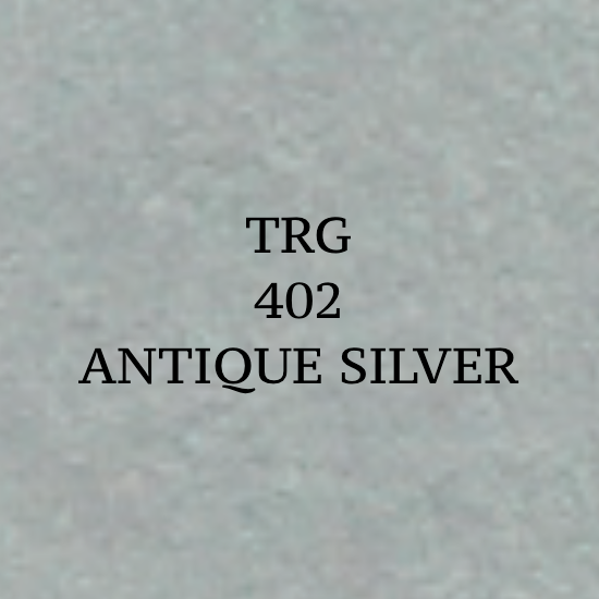 TRG easy dye schoenverf - 402 - ANTIQUE SILVER