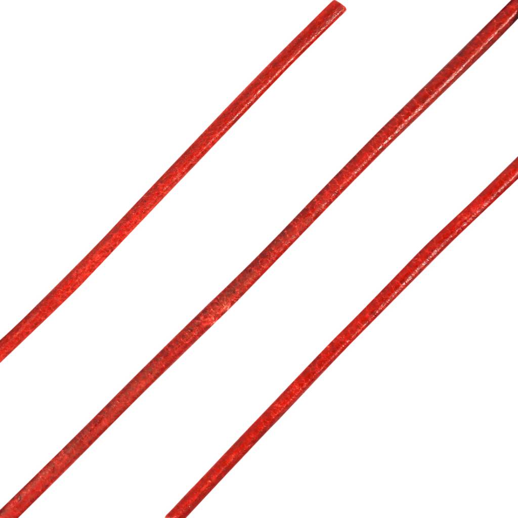 ShoeSupply.eu Ronde leren veters rood 100cm | Luxe lederen sierveters