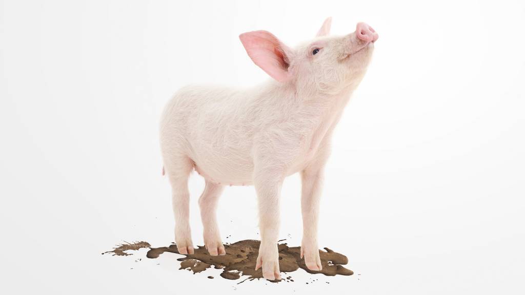 Piggy Proof Active Perfume 150ml