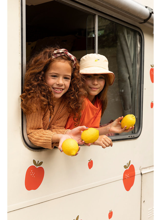 Sticky Lemon Headbands