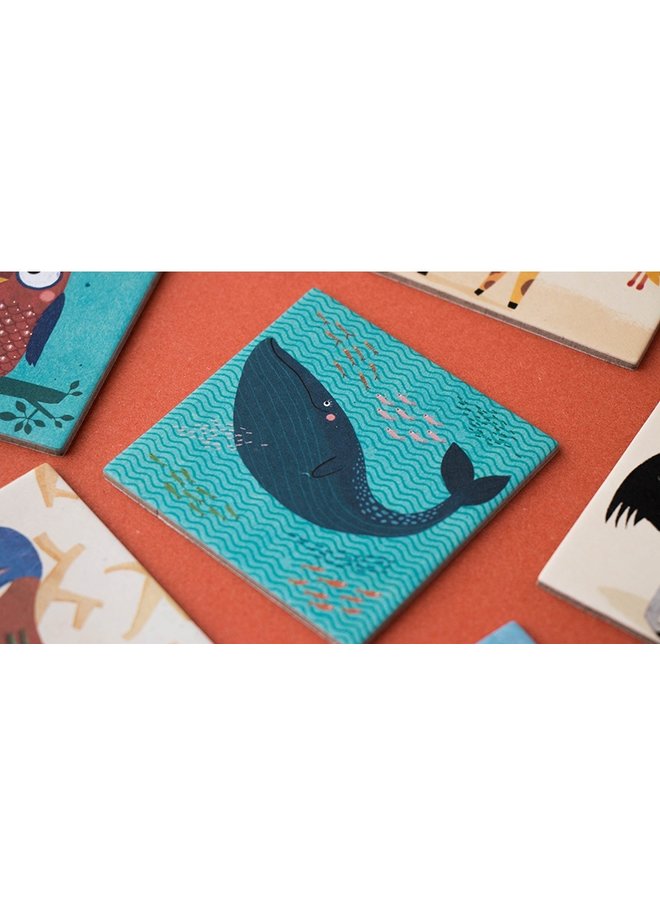 Wild Animals Memo