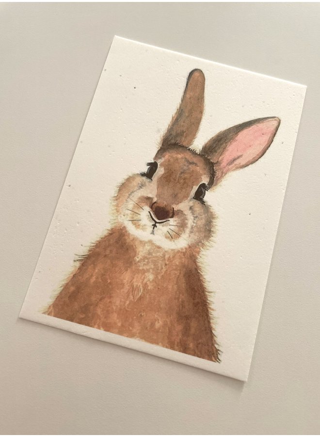 Flower Seeds card - Bunny