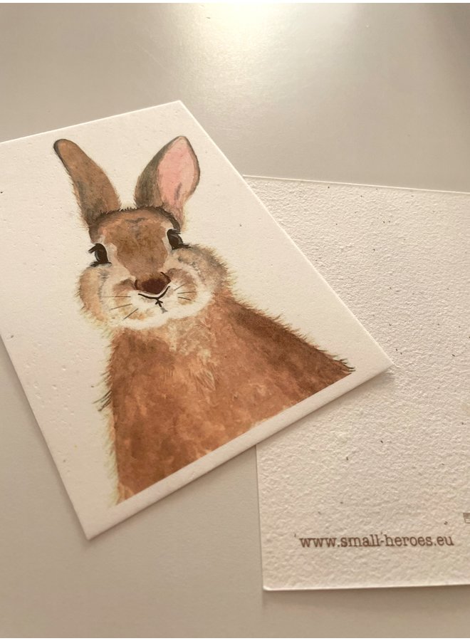 Flower Seeds card - Bunny