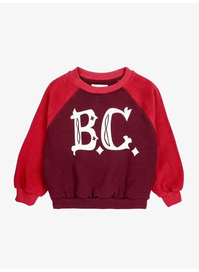 BC vintage ranglan sleeve sweatshirt