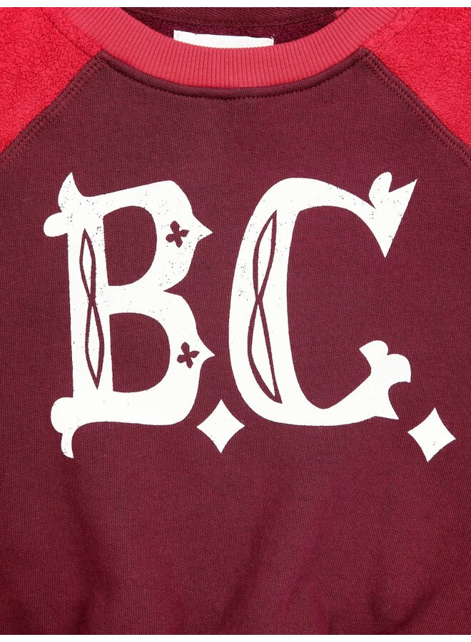 BC vintage ranglan sleeve sweatshirt