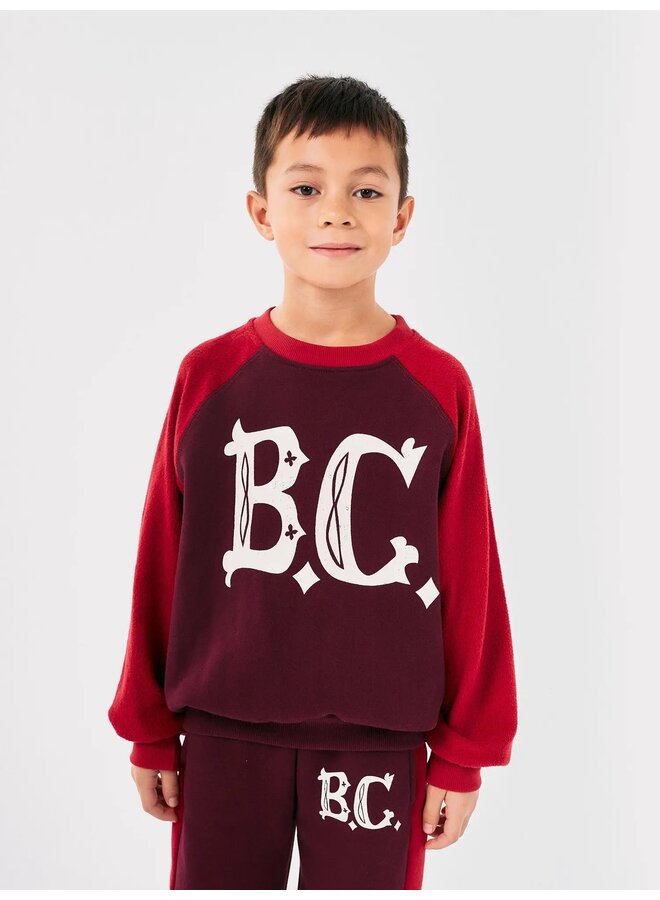 BC vintage ranglan sleeve sweatshirt