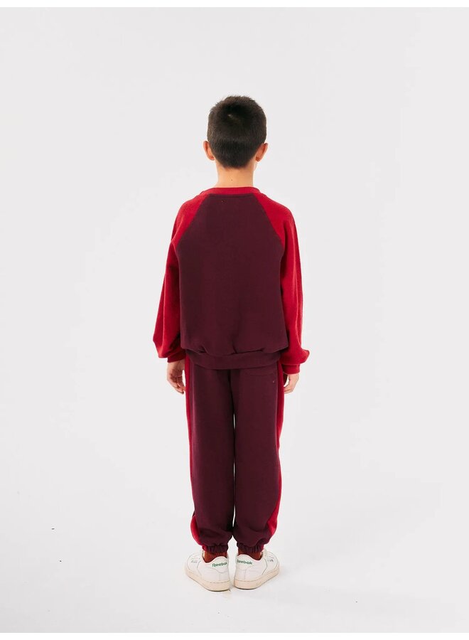 BC vintage ranglan sleeve sweatshirt