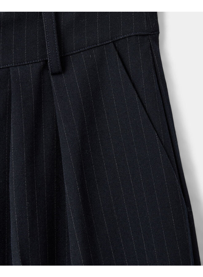 Trousers Navy