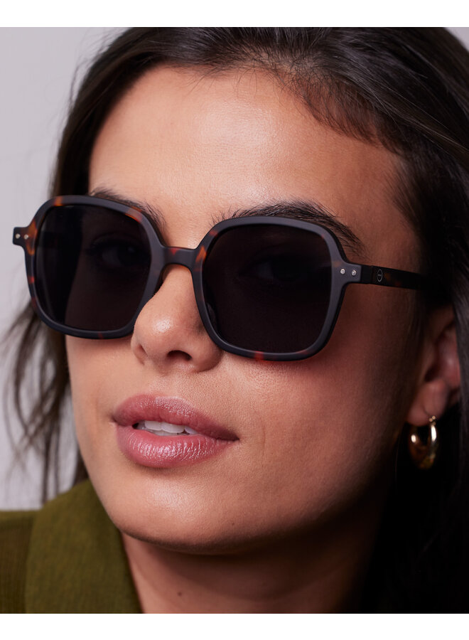 SUN OFFICE - tortoise