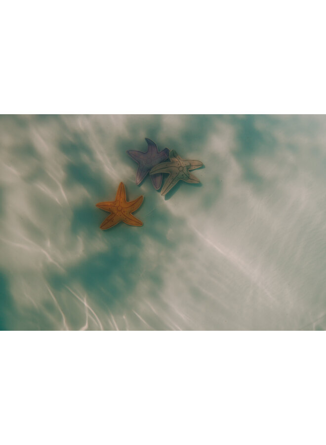 Multicolored Diving Toys - Dino/Sea Star