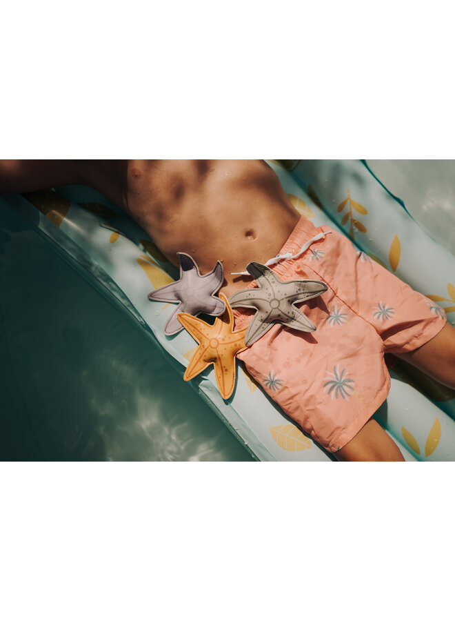 Multicolored Diving Toys - Dino/Sea Star