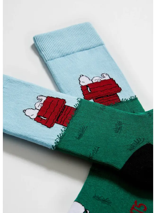 BeSnoopy house socks