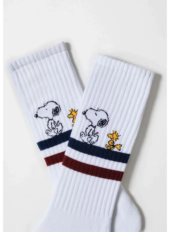 BeSnoopy stripes street socks