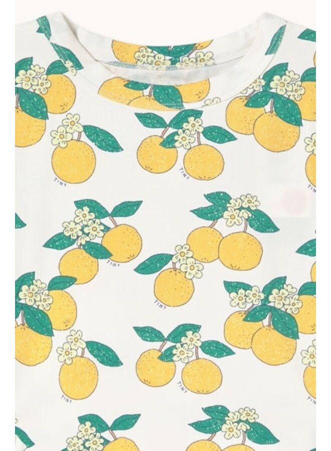 Oranges Puff Sleeve Dress