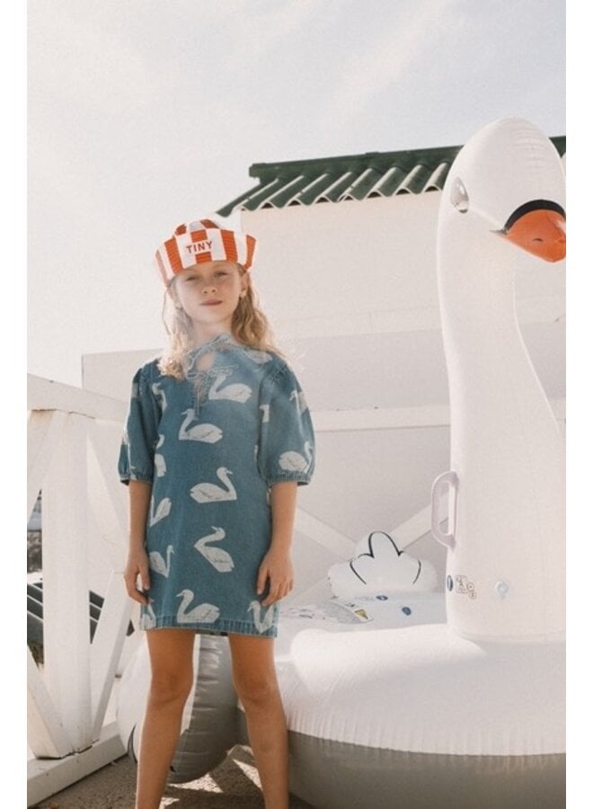 Big Swans Dress
