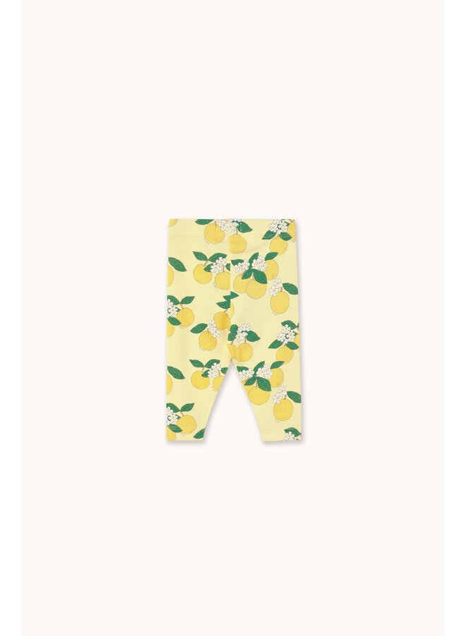 Oranges Rib Baby Pant