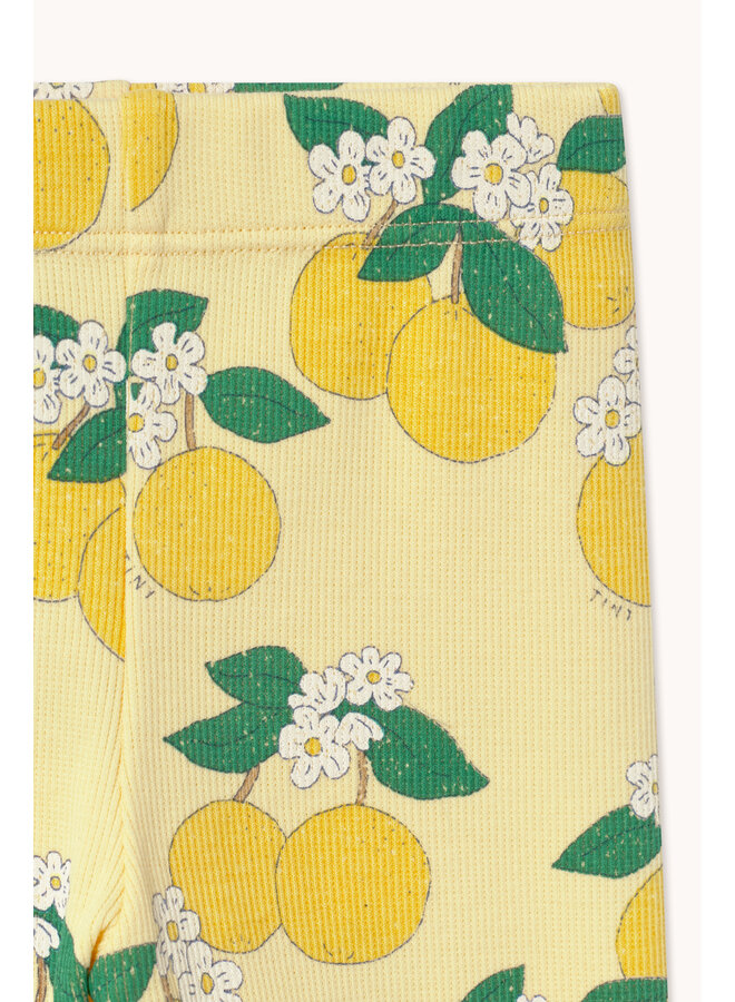 Oranges Rib Baby Pant