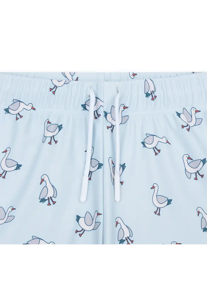 Swim Shorts - little Seagull