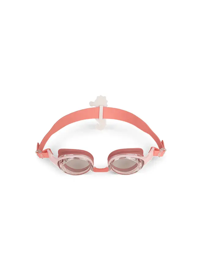 Diving Goggles