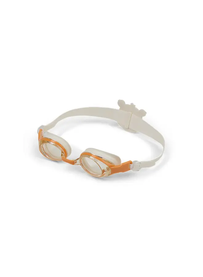 Diving Goggles