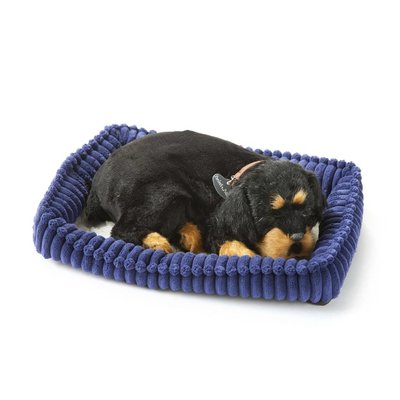 perfect petzzz rottweiler