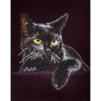 Midnight Cat Diamond Dotz: 28x36 cm