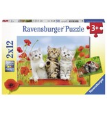 Ravensburger Puzzel katjes op ontdekkingsreis: 2x12 stukjes