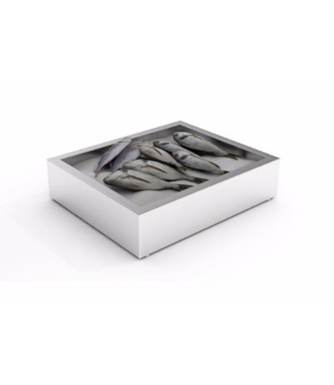 RVS crushed ice bak | 2/1GN | (H)170x(B)722x(D)590