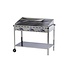 Hendi Barbecue Green Fire - 3 branders - met 2x gietijzeren bakplaat en 1x RVS rooster