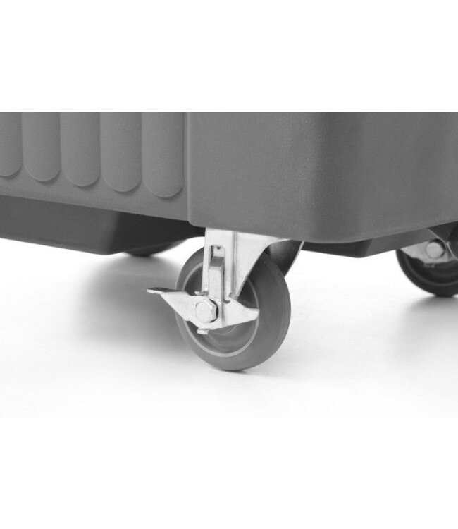 Geïsoleerde ijscontainer - 100L