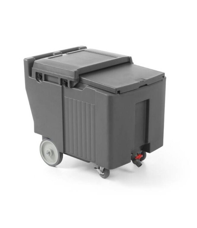 Geïsoleerde ijscontainer - 100L