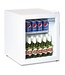 Polar Display koelkast | 45L | (H)51x(B)43x(D)48