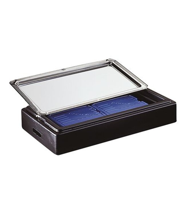 Koelelement voor buffet display gekoeld 1/1GN