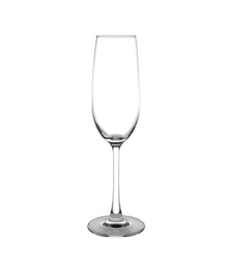 Olympia Champagneglas Olympia Modale | 6 stuks | 39,5cl