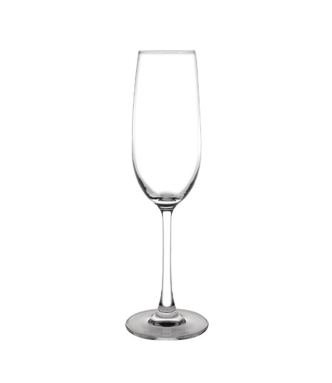 Champagneglas Olympia Modale | 6 stuks | 39,5cl