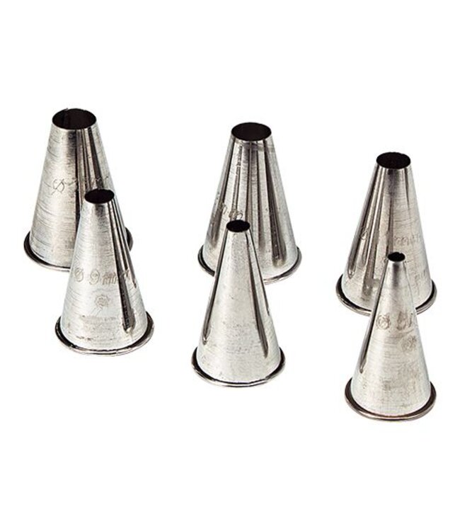 Spuitjes set rvs glad - 6 stuks