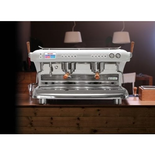 Snor Afname doel Ascaso Big Dream Plus Multiboiler espresso machine kopen? - HorecaRama